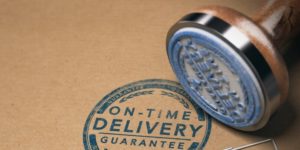 Express Shipping - Guaranteed delivery – In most cases